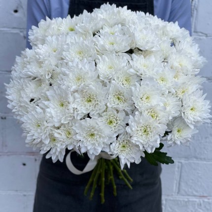 Белая кустовая хризантема - купить с доставкой в Красноярске