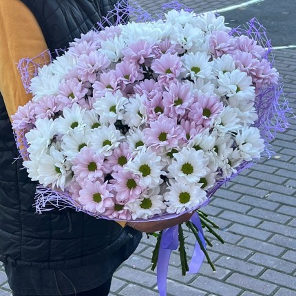 букет из розовой кустовой хризантемы - купить с доставкой в Красноярске