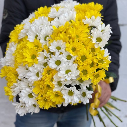 Букет из разноцветных хризантем - купить с доставкой в Красноярске