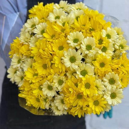 желтая кустовая хризантема - купить с доставкой в Красноярске